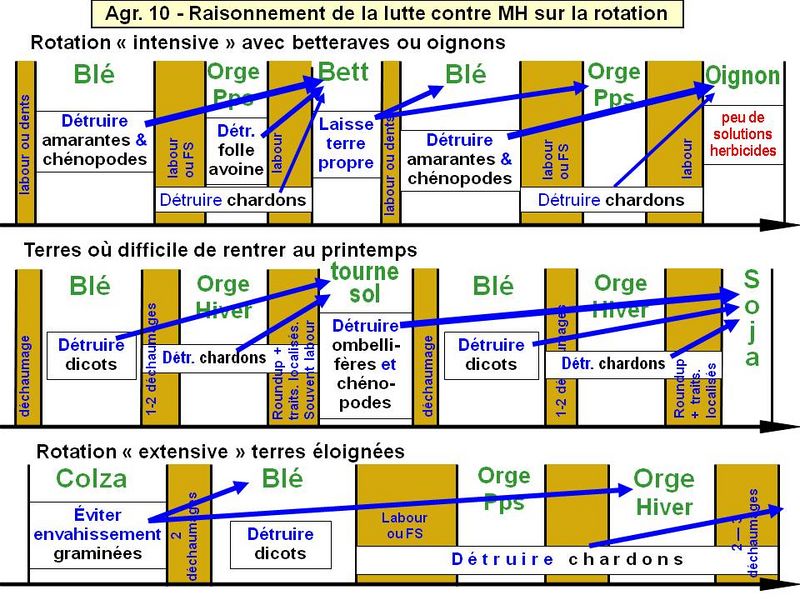 File:MotsAgro Mauvaise herbe Annexe 3 7.jpg