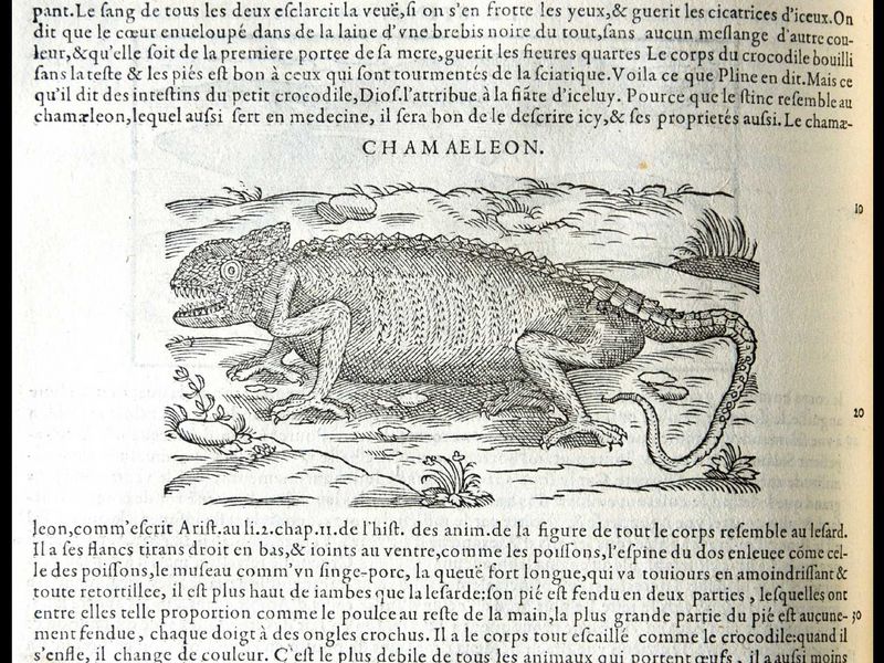 File:Diaporama visite exposition Renaissance (37).jpg