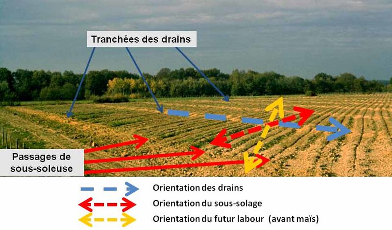 File:MotsAgro Sous-solage 11.jpg