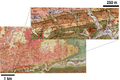 Thumbnail for version as of 15:23, 12 December 2020