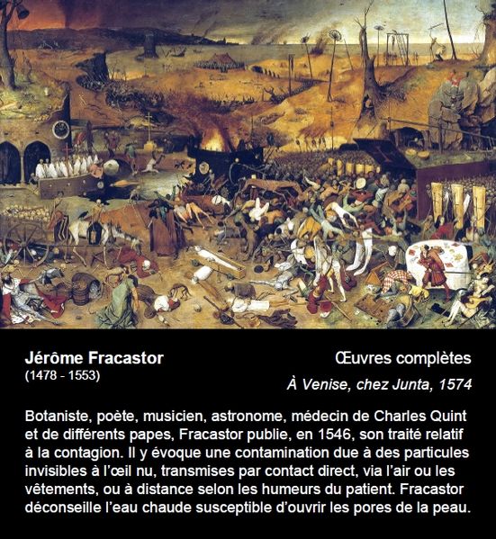 File:Cartel 61-Fracastor 1.jpg