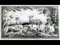 Thumbnail for version as of 15:24, 12 December 2020