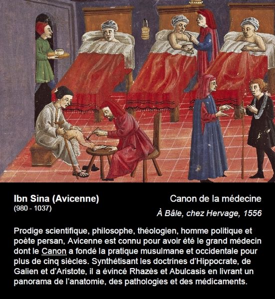 File:Cartel 19-Avicenne.jpg