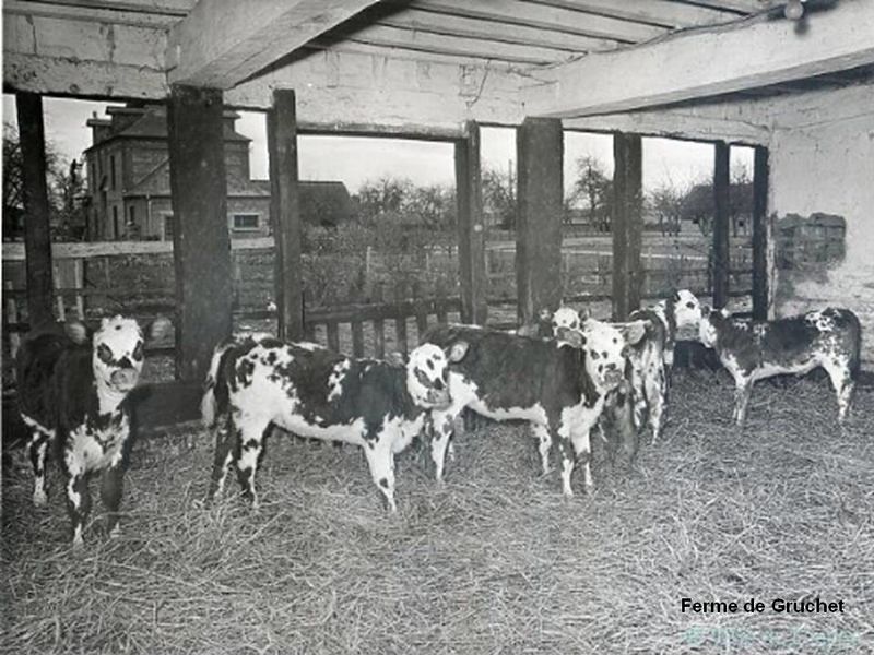 File:MotsAgro André Voisin 3.JPG