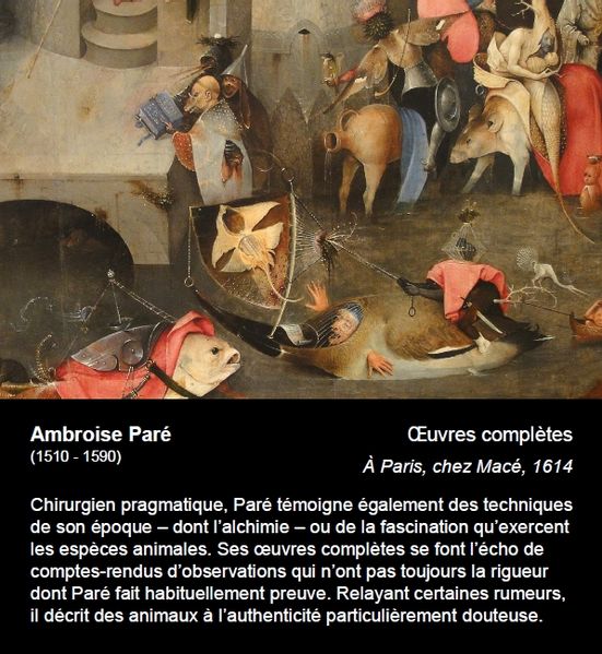 File:Cartel 51-Pare 4.jpg