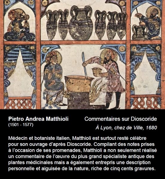 File:Cartel 11-Matthioli 2.jpg