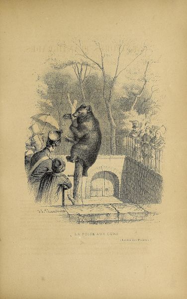 File:Jardin des plantes (1845) Boitard, page 259.jpg