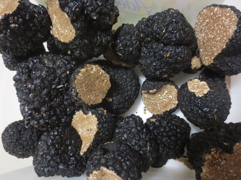 File:Truffes de Bourgogne - Tuber uncinatum.JPG