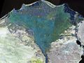 Nile delta landsat false color.jpg