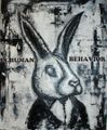 Visuel Lapin Maxime Acker 2013 St Dié.jpg