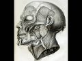 Exposition Stanislas BU 2016-Diapositive (11).JPG