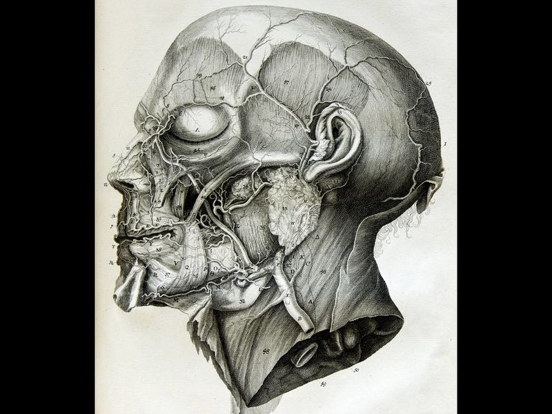 File:Exposition Stanislas BU 2016-Diapositive (11).JPG