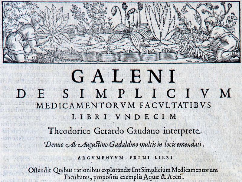 File:Diaporama visite exposition Renaissance (62).jpg
