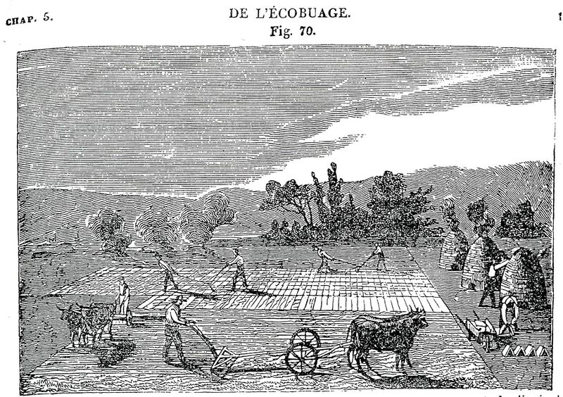 File:Écobuage3.jpg