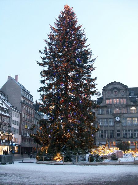 File:Sapin Noël Strasbourg 2010.JPG
