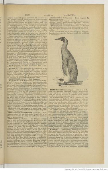 File:Dict. Sciences (1924) Poiré S4 f163.jpg