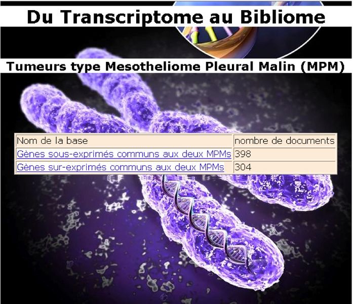 File:Ametist 0 Grandjean 2.jpg